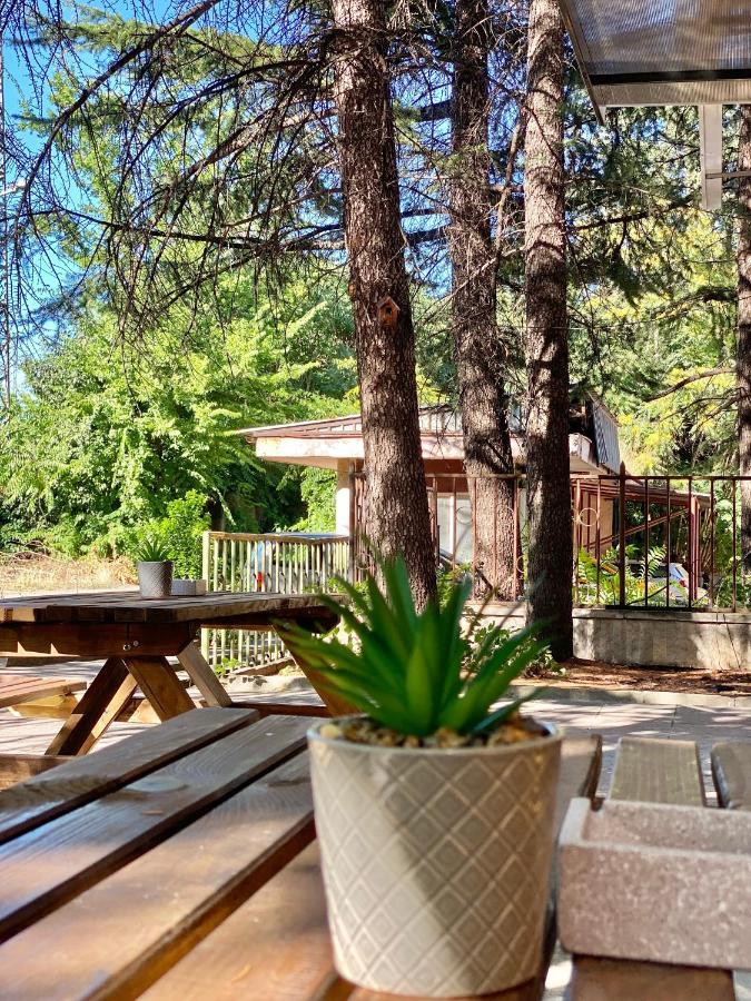 Hello Studios Budget Stays Free Parking & Wifi Stara Zagora Exterior photo